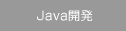 Java�J��