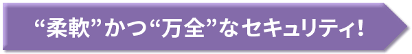 “柔軟”かつ“万全”なセキュリティ！