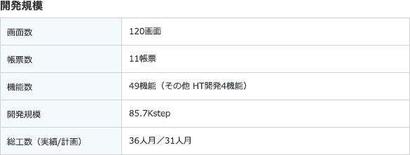 開発規模